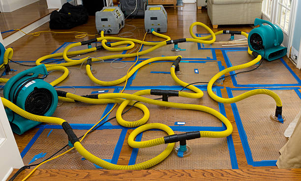 Professional Flood Damage Restoration technician working in South Haven, MI